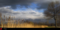 фото "sunrise"