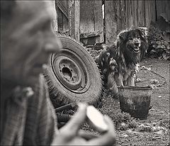 photo "Snack"