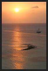 фото "habutial photo"