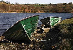 photo "All died up - stranded"
