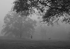 фото "Morning"