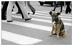 photo "Among ... the center of Moscow."