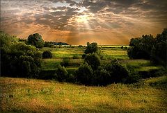 photo "..."