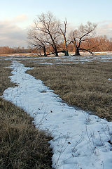 photo "Cold April. MiddleEarth"