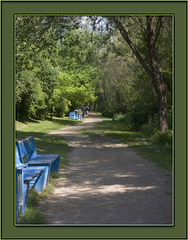 photo "Avenue of a shady garden..."