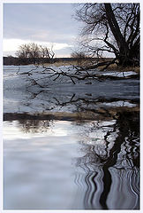 photo "Reflections. The Middle Earth"