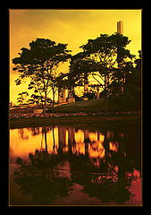 photo "The paradise in green and red..."