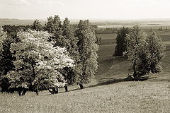 фото "Цвет осени"