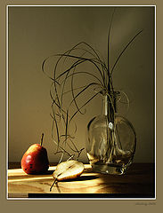 photo "##"