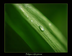 photo "***"