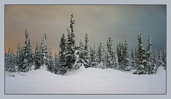 photo "Вьюга - Пурга"