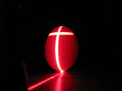 фото "egg"