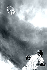 photo "Flying"