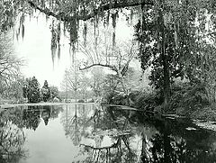 photo "***"