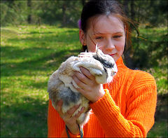 photo "Happy Easter, my friend!"