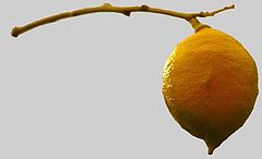photo "The Lemon"