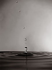 фото "Drops"