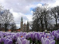 фото "Old castel."