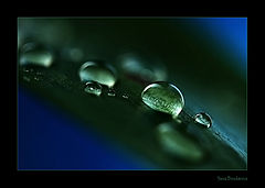 photo "Keepers of light"