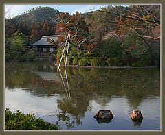 photo "In the land of harmony"