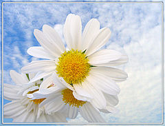 photo "Spring"