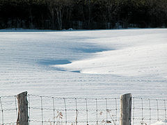 photo "snow shadows"