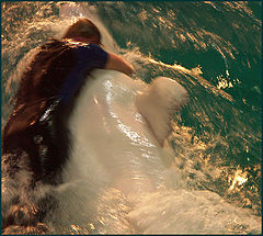 photo "Dancing whith white whale."