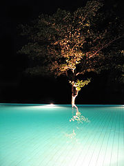 photo "Pool tree"