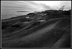 фото "Skin"