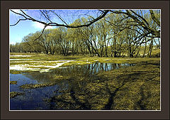 photo "***"