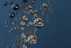 фото "Bubbles"