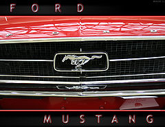 photo "For Mustang"