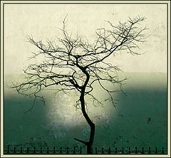 photo "The Japanese etude"