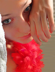 photo "222"