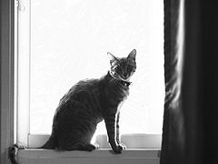 фото "Don't you move"