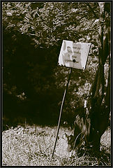 photo "***"