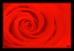 фото "*"
