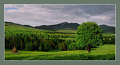 фото "Июнь"
