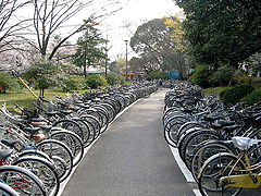 photo "Country of bicycles"