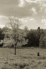 photo "Watching the colour of autumn"