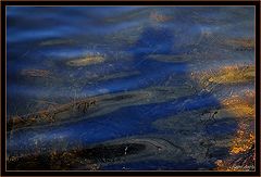 photo "water surface"