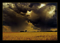 фото "Sky madness"