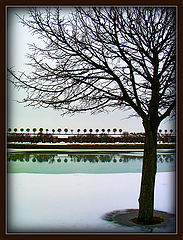 photo "***"