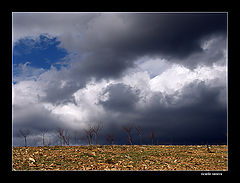 photo "***"