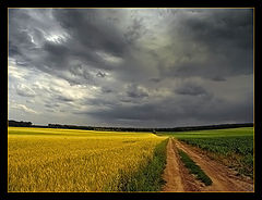 фото "Thunder road"