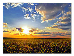 фото "Sunset colours"