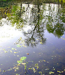 фото "Холодно 2"