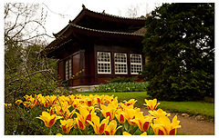 photo "Big in Japan"