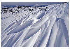 photo "Tygertush"