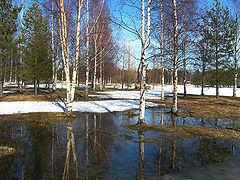 photo "Spring in Finland"